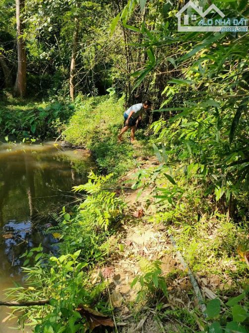 BÁN LÔ ĐẤT BÁM SUỐI VIEW ĐẸP CHỈ 1.X TỶ TẠI KIM BÔI HÒA BÌNH - 3