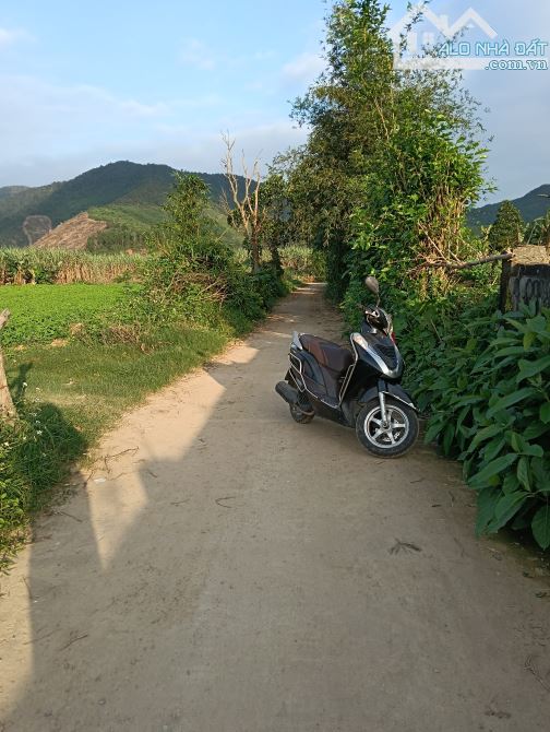 Chào bán 3650m2 (600m2 đất ở) tại Hòa Bắc giá chỉ 5,5 tỷ - 3