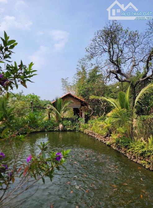 NHÀ VƯỜN HÒA NAM - BUÔN ĐÔN GIÁ 1.5Tỷ GIẢM KỊCH SÀN CÒN 1 Tỷ050 - 3