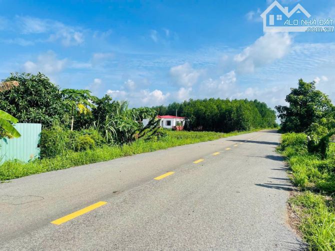 👉VƯỜN TRÁI CÂY LÁNG DÀI- ĐẤT ĐỎ -BRVT 🌈DT 2.900m2  - ngang 33m x72m quy hoạch đất ở - 3