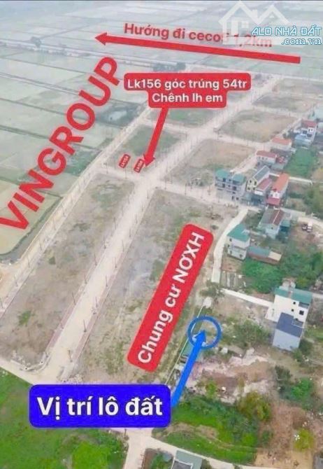 chính chủ cần bán đất cạnh đấu giá văn quán đỗ động thanh oai - 4