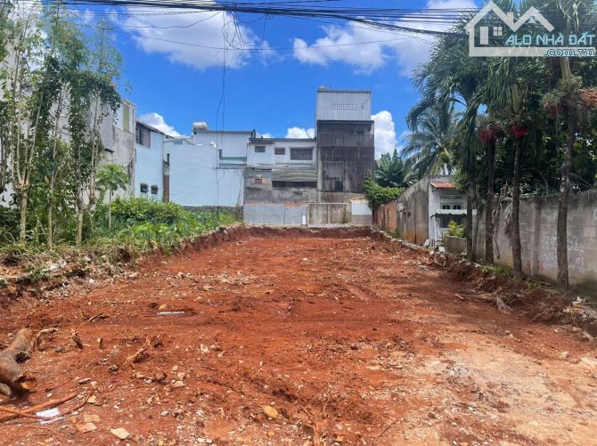 ĐẤT ĐẸP GIÁ TỐT MẶT TIỀN MẠC ĐĨNH CHI ĐOẠN GẦN MAI XUÂN THƯỞNG NỞ HẬU 11M - Loctran - 4