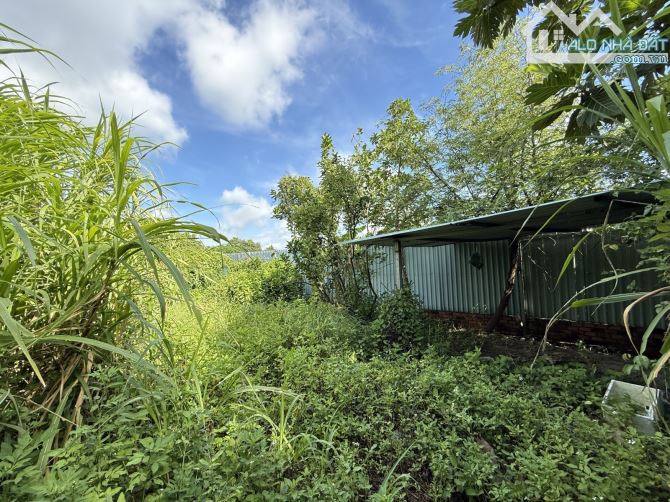 🌳 ĐẤT VƯỜN NGANG KHỦNG 19,2M – 955M² – VIEW SÔNG THOÁNG MÁT – GIÁP HÓC MÔN - BÌNH MỸ-6TỶ - 4