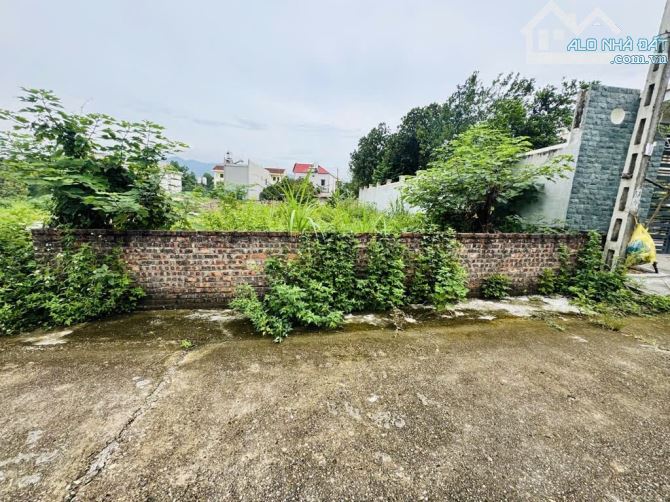 Bán 185m đất ở tại Vệ Linh, Phù Linh, Sóc Sơn - 4