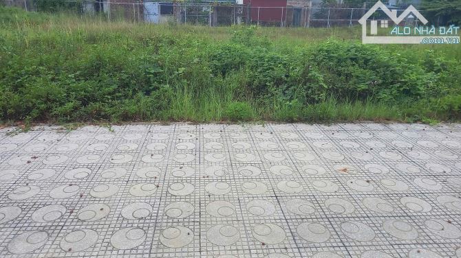 Đất dãy 2 Lý Thường Kiệt đối diện công viên trung tâm TP. Đồng hới giá cực rẻ - 4