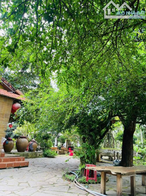 Nhà vườn view hồ 3,4 sào Tc200 sau lưng Đồi Thông Hoà Thắng 14 Tỷ - 4