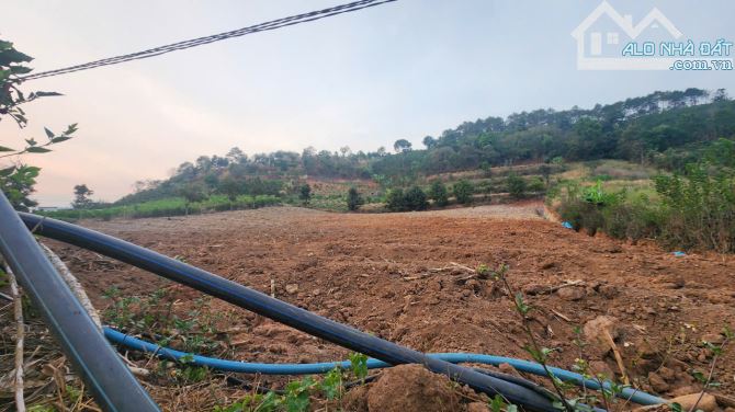 4000m2, ô tô, 🌲 CHỐN NGHỈ DƯỠNG GIỮA RỪNG THÔNG – GIÁ CỰC TỐT 🌲 - 4