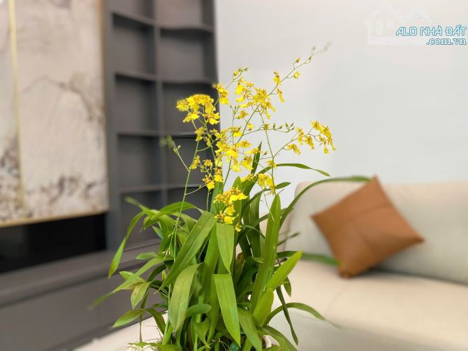CẦN CHUYỂN NHƯỢNG NHÀ ĐỘC LẬP VĨNH CÁT - THIÊN LÔI - vĩnh niệm lê chân hải phòng - 4