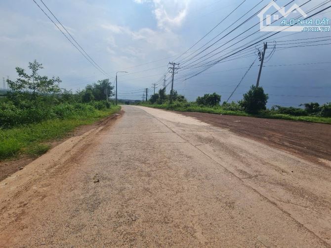 D287 Chủ gởi bán 3 sổ đất qh skc Tân An- Đồng Nai - 4
