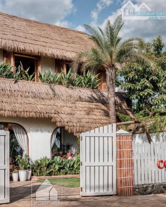 Bán Homestay cực đẹp thu nhập khủng ngay trung tâm BMT - 4