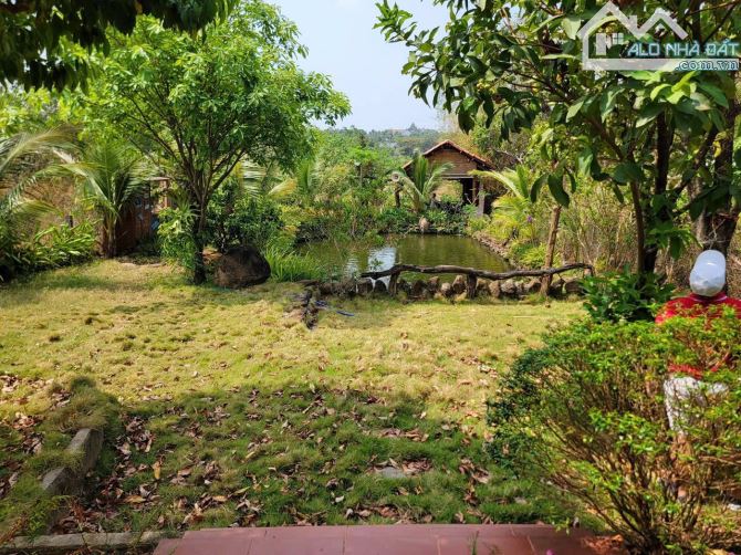 NHÀ VƯỜN HÒA NAM - BUÔN ĐÔN GIÁ 1.5Tỷ GIẢM KỊCH SÀN CÒN 1 Tỷ050 - 4