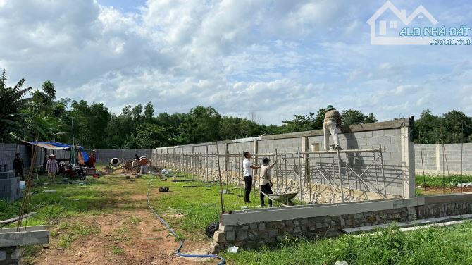 3 LÔ LIÊN KỀ MẶT TIỀN ĐƯỜNG ĐOÀN TRUNG CÒN - THỊ TRẤN ĐẤT ĐỎ- CÁCH TỈNH LỘ 52 CHỈ 50M  🌈D - 4