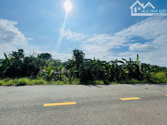 👉VƯỜN TRÁI CÂY LÁNG DÀI- ĐẤT ĐỎ -BRVT 🌈DT 2.900m2  - ngang 33m x72m quy hoạch đất ở - 4