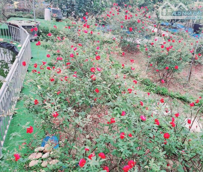 chủ chuyển công tác cần chuyển nhượng lại căn VILLA nhà vườn Tam ngọc - 5