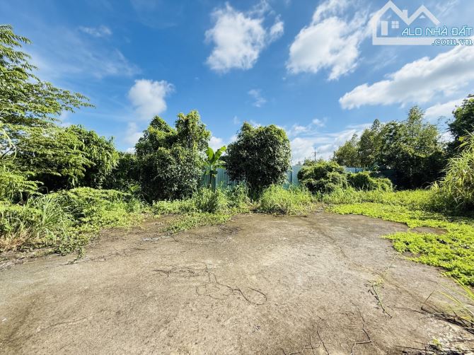 🌳 ĐẤT VƯỜN NGANG KHỦNG 19,2M – 955M² – VIEW SÔNG THOÁNG MÁT – GIÁP HÓC MÔN - BÌNH MỸ-6TỶ - 5