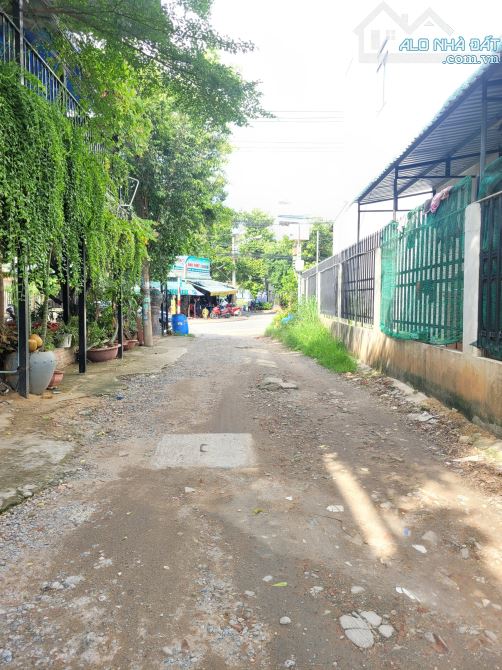 Bán nhà 1T1L và dãy trọ 5x28m hẻm Huỳnh Thị Tươi p.Tân Bình thu nhập 10tr/th - 5
