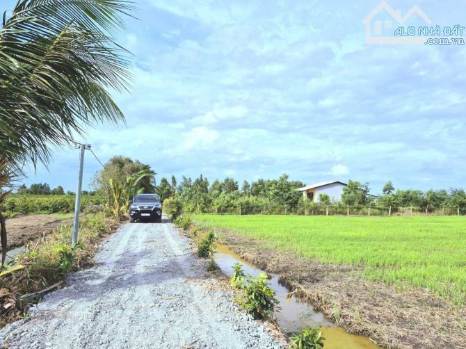 Quá thơm, 825m2 đất thổ cư View Kênh Nhựt Tảo chỉ 1.1 tỷ - 5