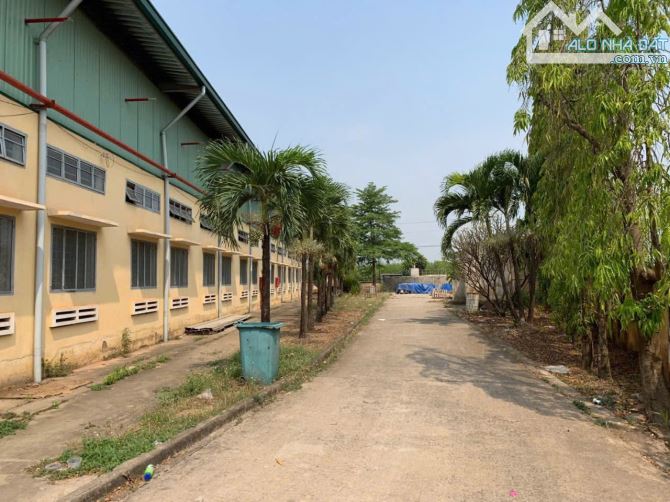 X104 ➡️ Bán nhà  xưởng Cụm CN Tân An Dt: 37.000 m2 full SKN đóng thuế 1 lần đến năm 2053 - 5