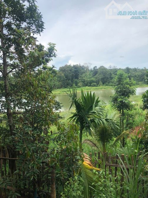 Đất 2,1 sào view hồ Đạt Lý (61x38m) cực đẹp hẻm 11A chỉ 3,89 Tỷ - 5