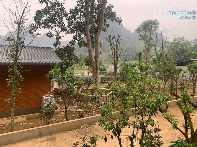 Bán đất Nghỉ dưỡng Chợ Bến, Lương Sơn. Dt 2.300m2, đã sẵn nhà vườn ao chuồng. Giá bán 5.2ỷ - 5
