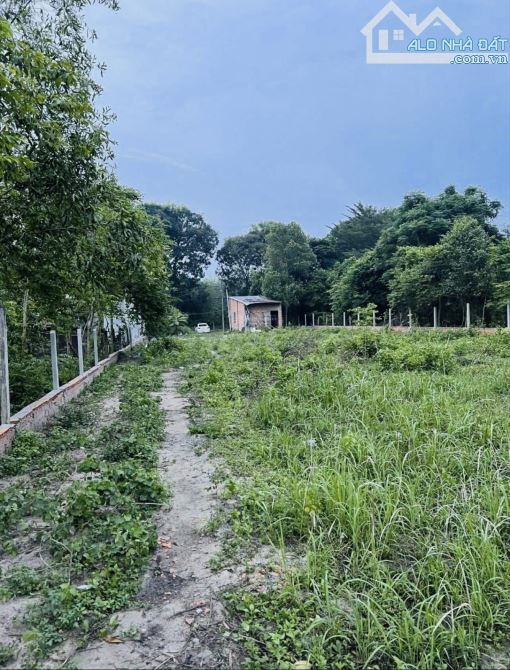 🌿 BÁN ĐẤT MẶT TIỀN BÀU LÁCH – GẦN CHỢ PHẠM VĂN CỘI – DT: 2064m2 - LÊN FULL THỔ CƯ - 6