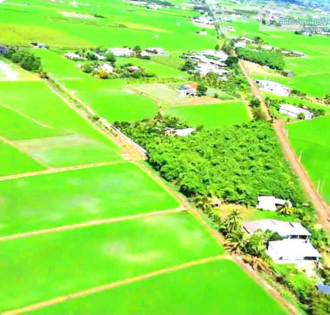 Quá thơm, 825m2 đất thổ cư View Kênh Nhựt Tảo chỉ 1.1 tỷ - 6
