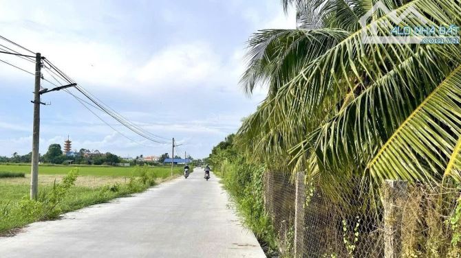 Nhà vườn dừa cây ăn trái với gara nhà kho và 2 mặt tiền - 6