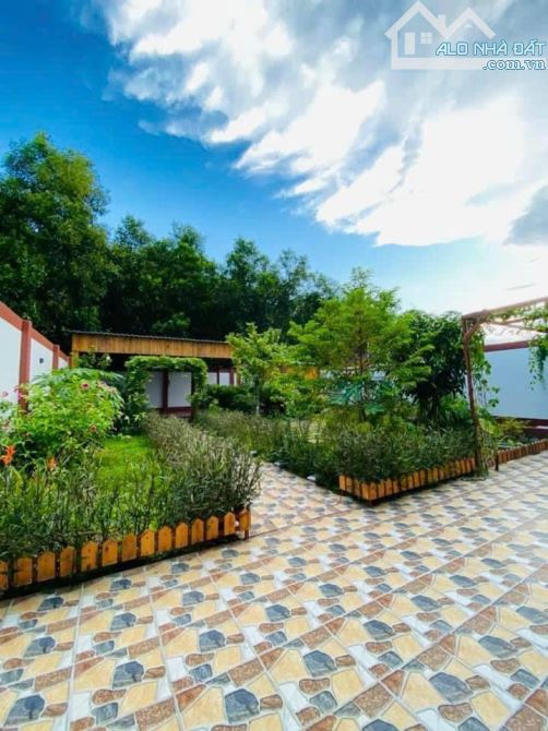 Cần bán căn nhà vườn Phước Hội, Gần Biển Phước Hải - Đất Đỏ- Bà Rịa VT - 6
