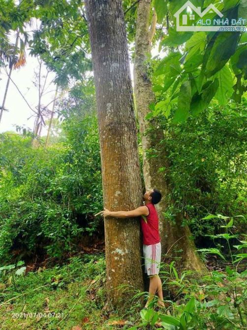 BÁN LÔ ĐẤT BÁM SUỐI VIEW ĐẸP CHỈ 1.X TỶ TẠI KIM BÔI HÒA BÌNH - 6