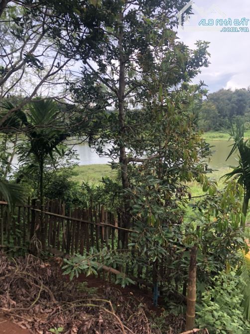 BÁN 2 SÀO ĐẤT NGHĨ DƯỠNG VIEW HỒ ĐẠT LÝ, P. TÂN AN, TP. BUÔN MA THUỘT - GIÁ: 3 TỶ 890 TRIỆ - 7