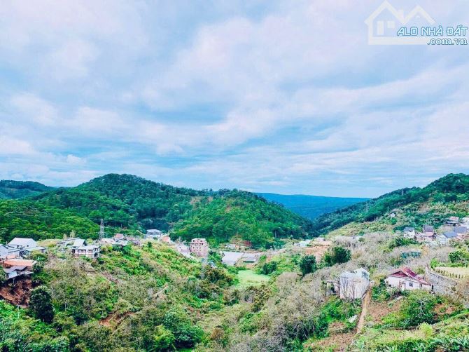 ĐẤT VIEW VĨNH VIỄN HOÀNG HOA THÁM 1230M2 - 625M2 THỔ CƯ - 7