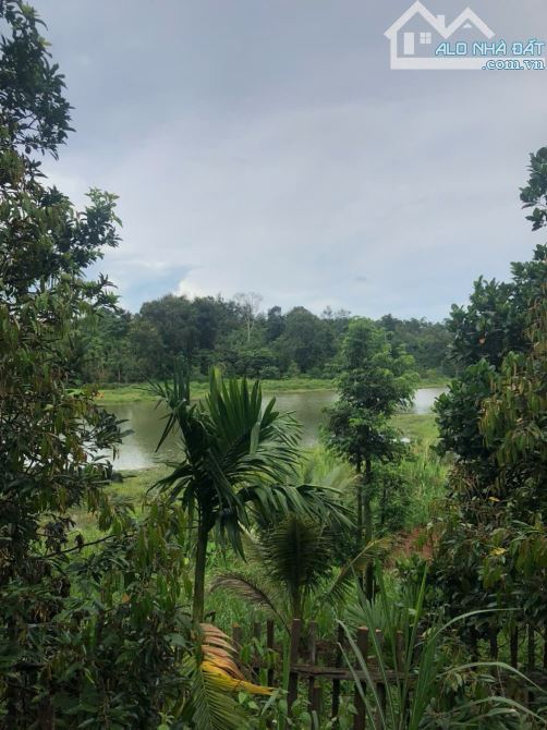 Đất 2,1 sào view hồ Đạt Lý (61x38m) cực đẹp hẻm 11A chỉ 3,89 Tỷ - 7