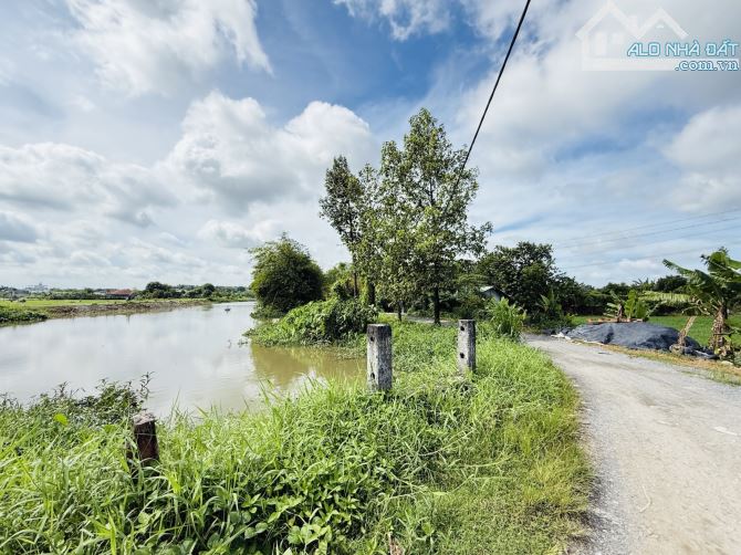 🌳 ĐẤT VƯỜN NGANG KHỦNG 19,2M – 955M² – VIEW SÔNG THOÁNG MÁT – GIÁP HÓC MÔN - BÌNH MỸ-6TỶ - 8