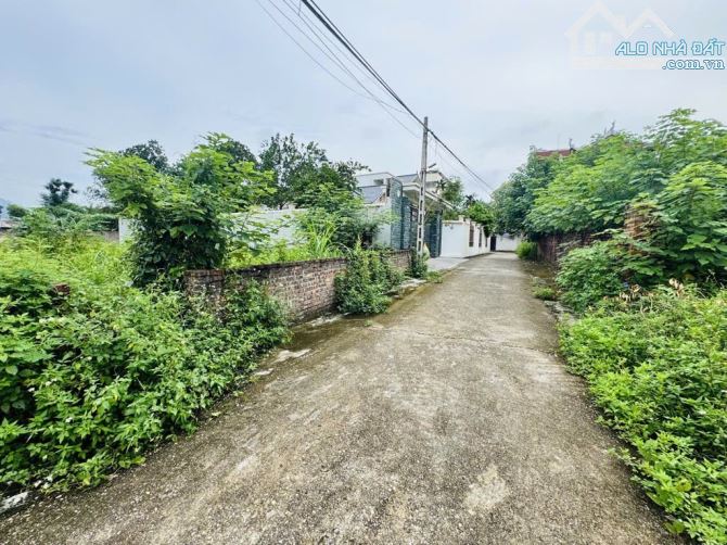 Bán 185m đất ở tại Vệ Linh, Phù Linh, Sóc Sơn - 8