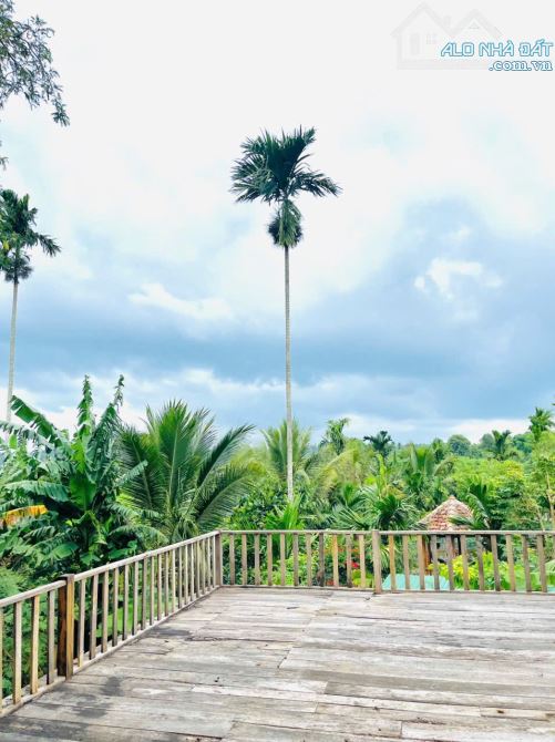 Nhà vườn view hồ 3,4 sào Tc200 sau lưng Đồi Thông Hoà Thắng 14 Tỷ - 8