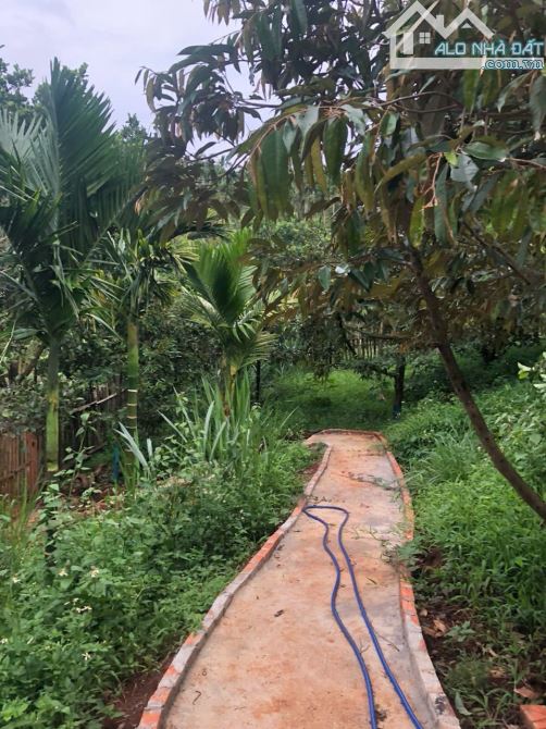 Đất 2,1 sào view hồ Đạt Lý (61x38m) cực đẹp hẻm 11A chỉ 3,89 Tỷ - 8