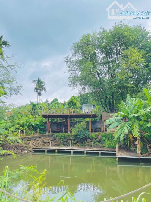 Nhà vườn view hồ 3,4 sào Tc200 sau lưng Đồi Thông Hoà Thắng 14 Tỷ - 9