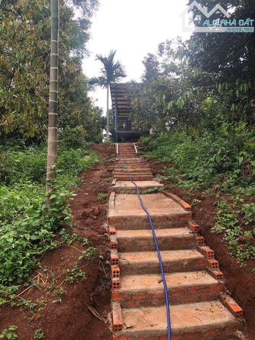 Đất 2,1 sào view hồ Đạt Lý (61x38m) cực đẹp hẻm 11A chỉ 3,89 Tỷ - 9