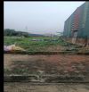 BÁN ĐẤT ĐÔNG HỘI-PHÂN LÔ-Ô TÔ TRÁNH-80m2-NHỈNH 12 TỶ-NGÕ THÔNG-KINH DOANG-GẦN VIN CỔ LOA