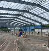 Cho Thuê 3.500m2 – 5.000m2 – 18.500m2 Nhà Xưởng Bến Cát BD Giấy Tờ Đầy Đủ