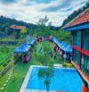 💥 5,4sào Homestay nghĩ dưỡng Chư Păh 🌿