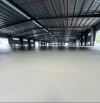 Cho thuê nhà máy 3ha nhà xưởng 17.000m2 KCN Phú Tài - Pccc đầy đủ