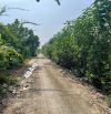 Đất Trồng cây lâu năm Yên Mỹ, Thanh Trì. DT:484m, giá: 2.39 tỷ, xung quanh có nhiều nhà C4