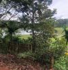 Đất 2,1 sào view hồ Đạt Lý (61x38m) cực đẹp hẻm 11A chỉ 3,89 Tỷ