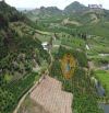 4000m2, ô tô, 🌲 CHỐN NGHỈ DƯỠNG GIỮA RỪNG THÔNG – GIÁ CỰC TỐT 🌲