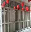 Chính chủ bán nhà riêng ngõ 106 đường Cầu Giấy - Hà Nội diện tích 42m, 6 tầng thang máy