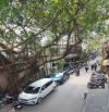 Tổng Tài Né Bão – Sở Hữu Nhà Đẹp Hoàng Cầu