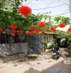 Bán nhà cấp 4 Phú Trung, Phú Bình, phường Tây Nha Trang. Giá chỉ 1 tỷ 850