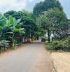 LÔ THỔ CƯ MẶT TIỀN TRỤC LỘ 2 BUÔN KY - THÀNH NHẤT - BMT 1 Tỷ350