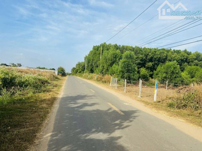 MẶT TIỀN ĐƯỜNG NGUYỄN HUỆ - ĐẤT ĐỎ - BRVT ; CON ĐƯỜNG NHIỀU NHÀ VƯỜN BIỆT THỰ NHẤT Ạ!